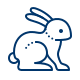 Logo Pasqua Coniglio