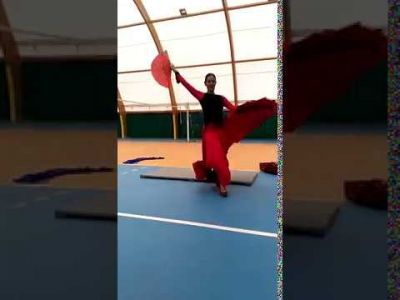 Flamenco 2019 Flamenco 2019