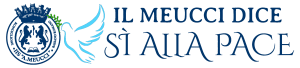 Logo MeucciPace