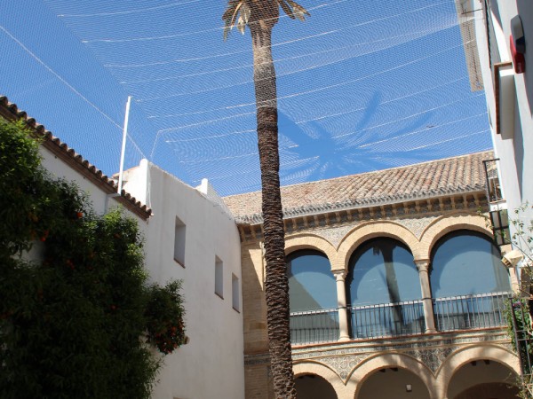 Andalusia2019 63