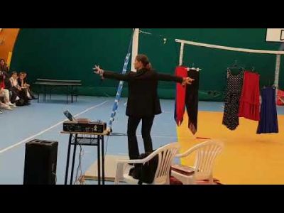 Flamenco 2019 Flamenco 2019