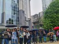 brussels